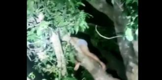 ‘Tarzan’ ladrão de celular sobe em árvore só de cueca para se esconder da Polícia