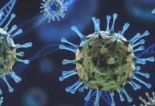 OMS: variante delta atinge 132 países e casos da covid-19 aumentam no mundo