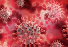 Primeiro caso da variante ‘Mu’, proveniente do coronavírus, é identificada em cidade brasileira