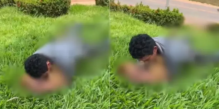 Homem é preso em flagrante por abusar sexualmente de cadela