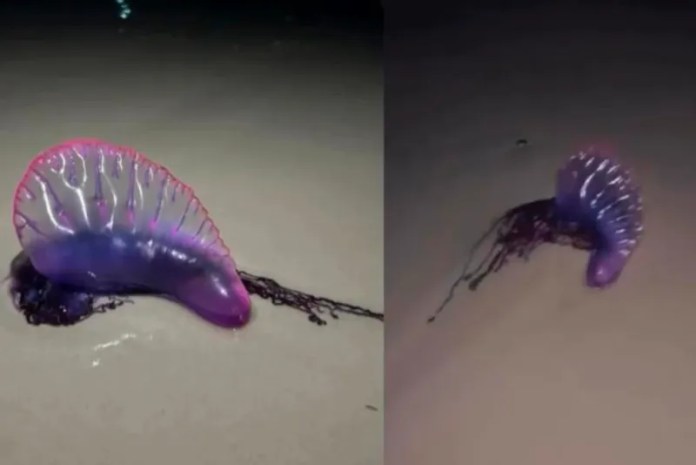 capa-materia-2024-01-02T085846.839-1024x683-1-800x534