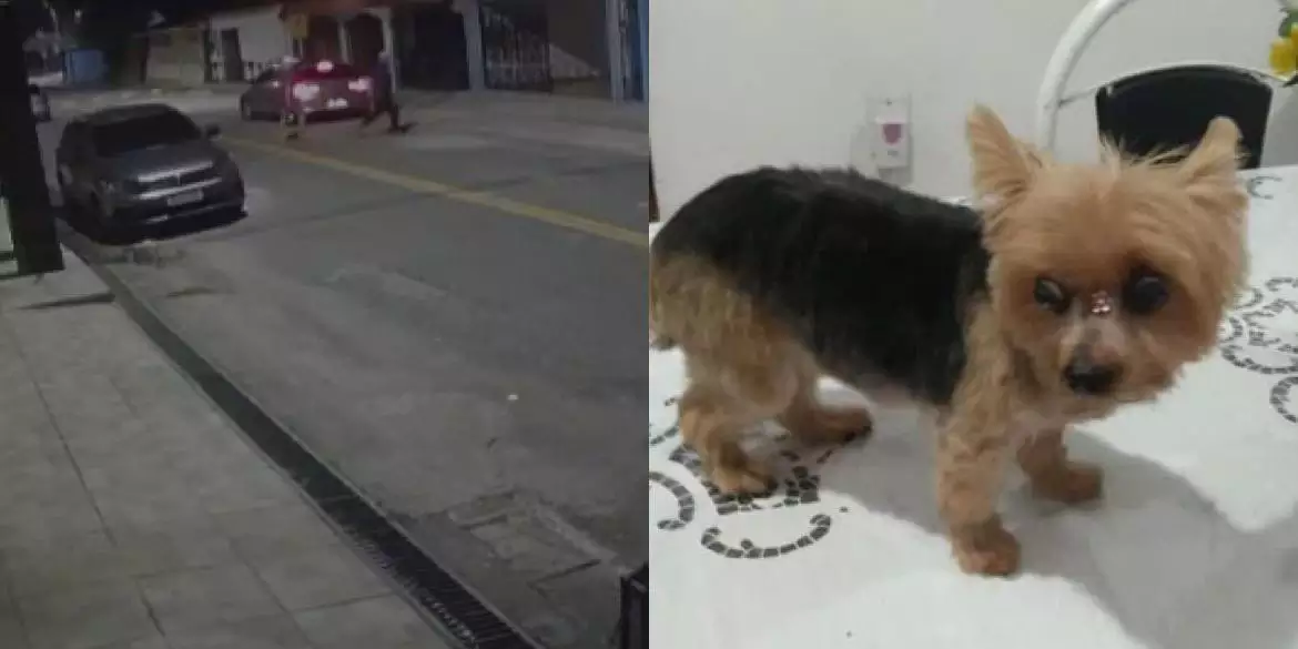 Quadrilha invade casa, faz família refém, rouba 2 carros e cadela em Belém