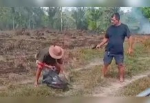 Vídeo: Marido de prefeita é preso após execução de idoso no Amapá; Imagens fortes: