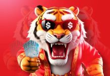 Homem perde o salário dele e da mulher no Tigrinho e inventa assalto