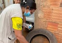 Dengue, zika e chikungunya: veja 10 cuidados diários para manter sua casa livre de arboviroses