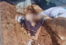 Cadáver é encontrado sentado fora de cova em cemitério público