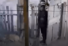 Homem invade residência e ameaça família em Itaituba