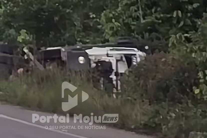 Caminhão sai da pista após bater em buraco na PA-252, entre Moju e Serrana
