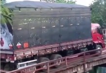 Vídeo; Ponte de madeira desaba e caminhão cai em rio no interior do Maranhão