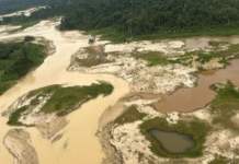 Mais de 800 permissões ilegais para garimpo são autuadas pelo MPF no Pará