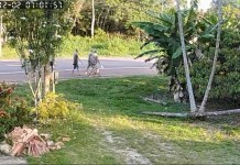 Presos fogem do presídio de Abaetetuba e vídeo registra supostamente três deles seguindo em direção à Alça Viária