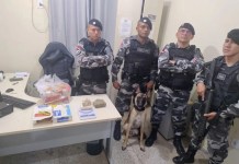 PM encontra drogas dentro de cesta básica em Santa Maria do Pará