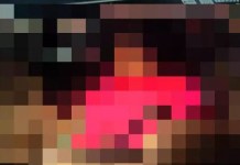 SALINAS – Briga de trânsito termina com motorista morto a tiros; vídeo