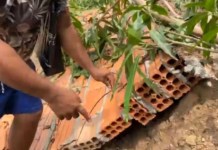 Adolescente é morto por descarga elétrica em Marabá