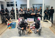 Policiais militares apreendem em Santarém mais de 21 quilos de drogas em cilindros de gás