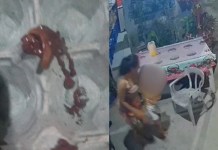 Criança passa mal após encontrar lesma em açaí consumido em Mosqueiro