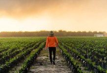 No Dia do Agronegócio, Agropalma apresenta açõesde rastreabilidade e segurança no mercado de palma