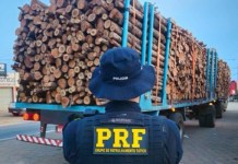 PRF apreende mais de 300 m³ de madeira ilegal durante operação no sul do Pará