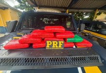 PRF apreende 11,7 kg de skunk em ônibus na BR-230, em Altamira/PA