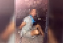 Polícia cumpre mandado de prisão contra homem de alta periculosidade em Moju