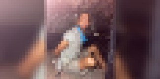 Polícia cumpre mandado de prisão contra homem de alta periculosidade em Moju