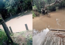 Morador acusa empresa Agro Export de contaminar o Rio Ubá, em Moju