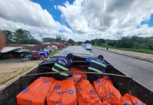 Sefa apreende carga de filtros industriais avaliada em mais de R$ 664 mil no nordeste do Pará