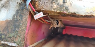 Prejuízos com energia furtada impactam sistema elétrico no Nordeste do Pará