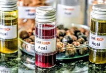 Pará movimenta mais de R$ 13 bilhões com bioeconomia e valoriza sociobiodiversidade