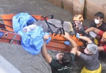 Boto-cor-de-rosa é resgatado após encalhar em canal do bairro do Marco, em Belém