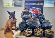 Base fluvial apreende mais de 80 kg de “supermaconha” em embarcação que vinha de Manaus com destino a Belém