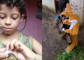 Menino de Cametá emociona ao celebrar Páscoa com único ovo simples e ganha surpresa