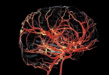 Médicas explicam importância da alimentação na recuperação do AVC