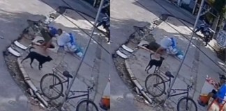 Homem embriagado cai em bueiro aberto no bairro do Jurunas