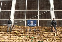 Operação na Maré apreende recorde de 48 toneladas de drogas