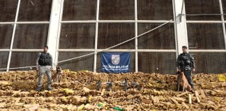 Operação na Maré apreende recorde de 48 toneladas de drogas