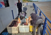 Mais de 200 litros de açaí sem origem comprovada são apreendidos por agentes da Base Fluvial Candiru