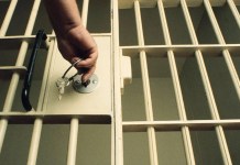 Homem é preso por suspeita de abuso sexual contra animais em Castanhal