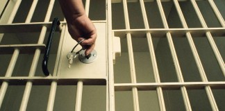 Homem é preso por suspeita de abuso sexual contra animais em Castanhal