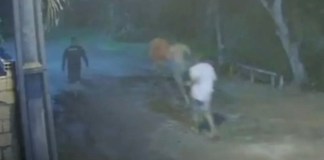 Quatro fugitivos de Santa Izabel são recapturados pela Polícia Militar nesta segunda (06)