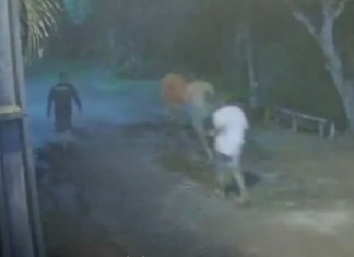 Quatro fugitivos de Santa Izabel são recapturados pela Polícia Militar nesta segunda (06)