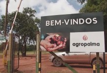 Programa Jovem Aprendiz da Agropalma abre vagas no distrito de Palmares