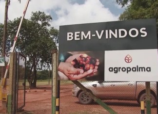 Programa Jovem Aprendiz da Agropalma abre vagas no distrito de Palmares