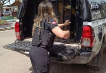 Suspeito de tentar matar companheira com golpes de vassoura, madeira e banco é preso no Marajó