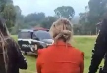 PC prende mulher suspeita de integrar grupo que vendia falsos programas sociais do governo no Pará