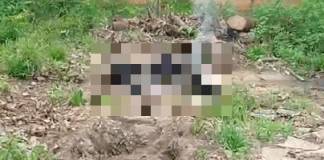 Corpo de mulher é encontrado carbonizado em terreno baldio de Jacundá