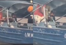 ITAITUBA – mulher dá à luz dentro de voadeira durante travessia no rio Tapajós