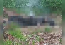 Corpo de mulher é encontrado carbonizado em Jacundá