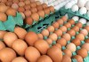 Preço do ovo volta a subir em Belém e já acumula alta de até 23% em 2026