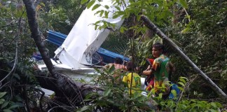 Avião de pequeno porte cai em área de mata no rio Arapiuns, em Santarém